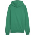 Bluza męska Puma Team Goal Casuals Hoody zielona 658618 05