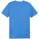 Koszulka męska Puma Team Goal Casuals Tee niebieska 658615 02