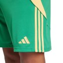 Spodenki męskie adidas Tiro 24 zielone IT2414