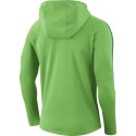 Bluza męska Nike Dry Academy 18 Hoodie PO zielona AH9608 361