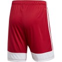 Spodenki męskie adidas Tastigo 19 Shorts czerwone DP3681