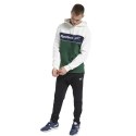 Bluza męska Reebok Classic Linear Hoodie biało-zielona GD0436