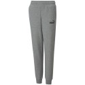 Spodnie dla dzieci Puma ESS Logo Pants TR szare 586974 03