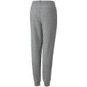 Spodnie dla dzieci Puma ESS Logo Pants TR szare 586974 03