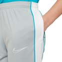 Spodnie dla dzieci Nike NK DF Academy Trk Pant Kp Fp Jb szare CZ0973 019