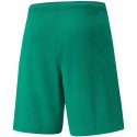 Spodenki męskie Puma teamRISE Short zielone 704942 05