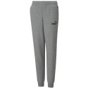 Spodnie dla dzieci Puma ESS Logo Pants FL szare 586973 03