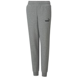 Spodnie dla dzieci Puma ESS Logo Pants FL szare 586973 03