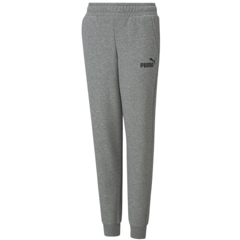 Spodnie dla dzieci Puma ESS Logo Pants FL szare 586973 03