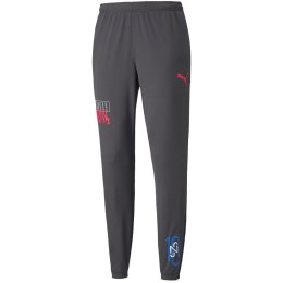 Spodnie męskie Puma Neymar Jr Futebol Training Pant szare 605600 07