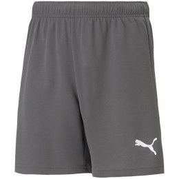 Spodenki dla dzieci Puma teamRISE Short Jr szare 704943 13