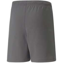 Spodenki dla dzieci Puma teamRISE Short Jr szare 704943 13