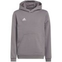 Bluza dla dzieci adidas Entrada 22 Hoody szara H57515