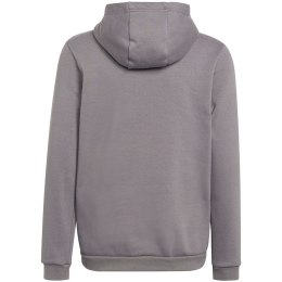 Bluza dla dzieci adidas Entrada 22 Hoody szara H57515