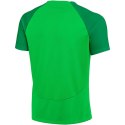 Koszulka męska Nike DF Adacemy Pro SS TOP K zielona DH9225 329