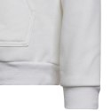 Bluza dla dzieci adidas Entrada 22 Hoody biała HG6303