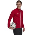 Bluza męska adidas Entrada 22 Track Jacket czerwona H57537